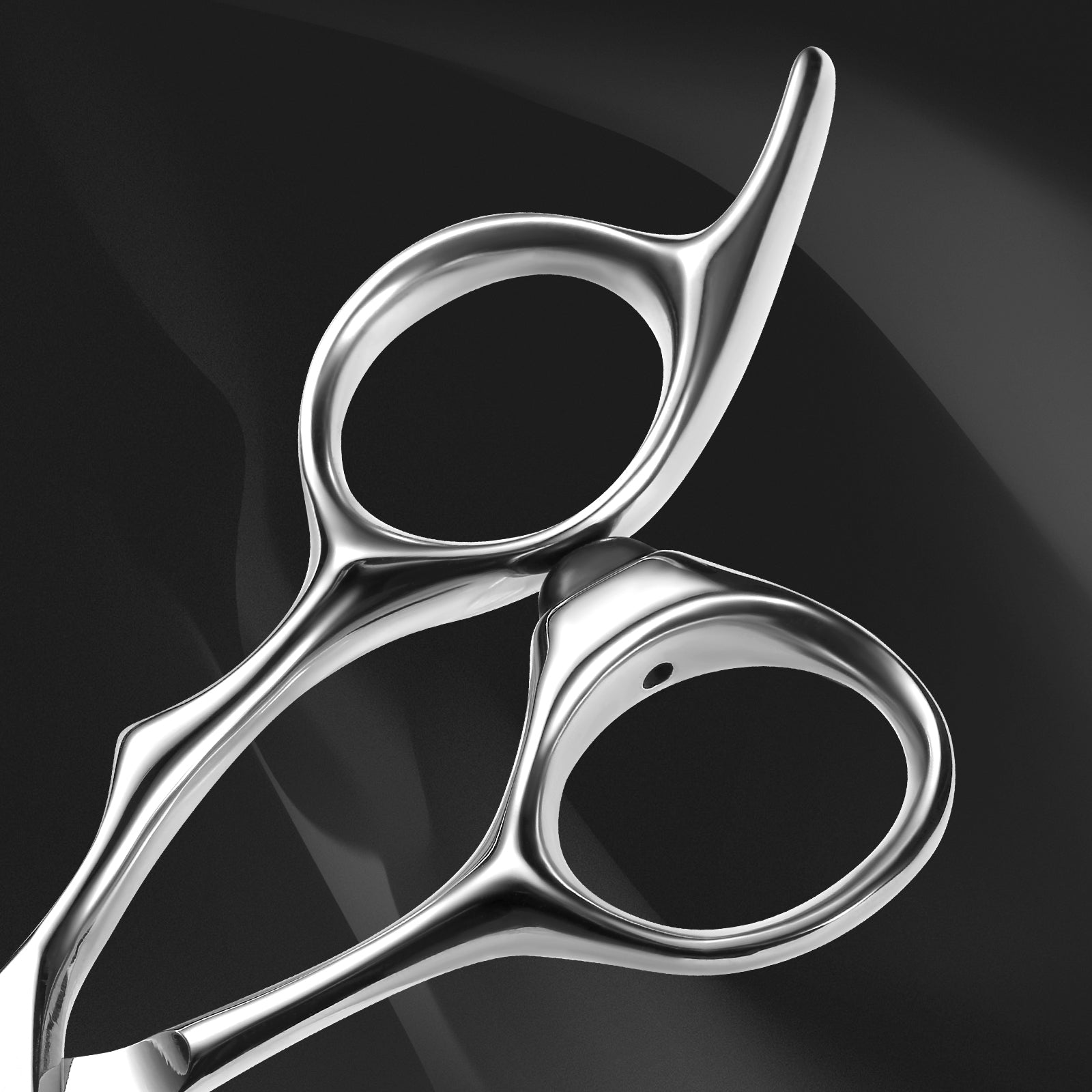 AOLANDUO 6" VG10 Shears: Razor-Sharp. Effortless Control.