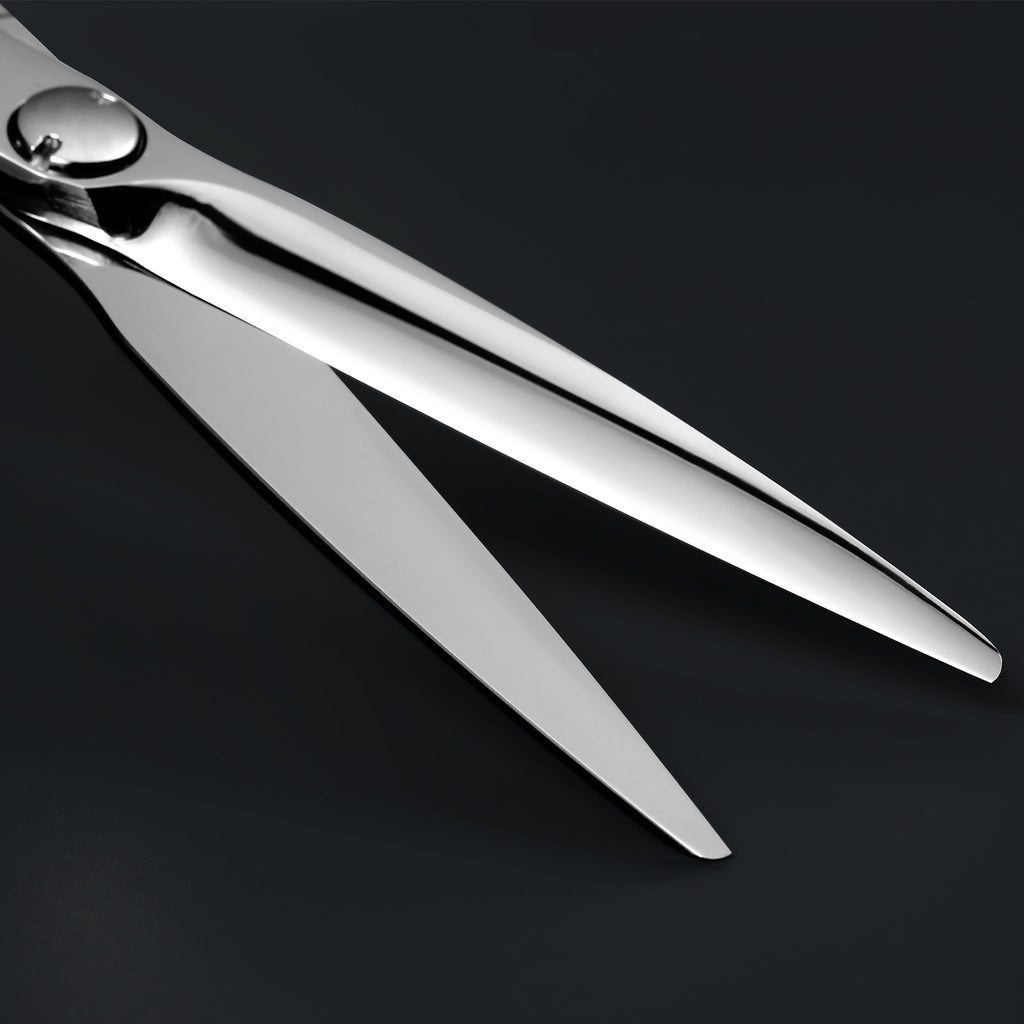 AOLANDUO Master 6.0" VG10 Hair Scissors – Ultra-Sharp & Seamless Design for Pros